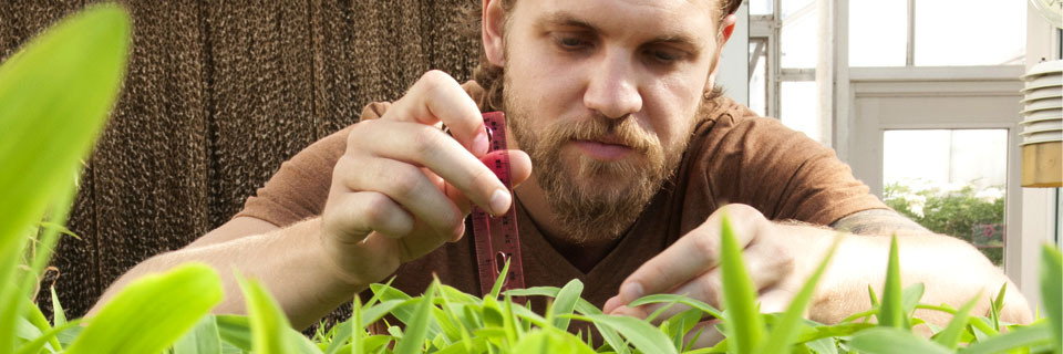 A student uses a small ruler to measure the length of a blade of grass.