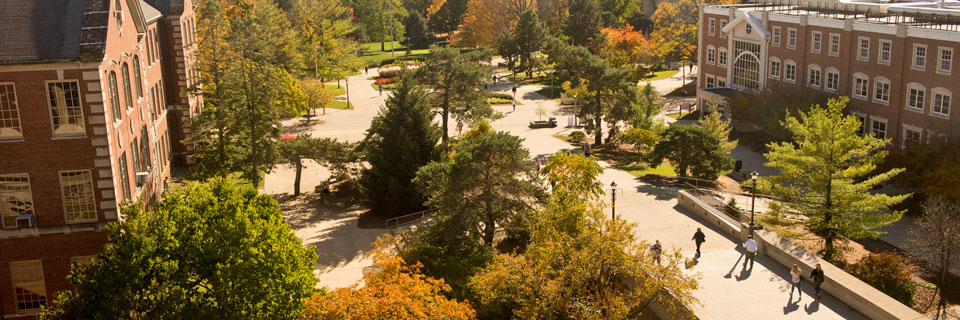Overview of Illinois State's quad.
